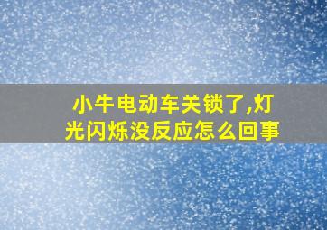 小牛电动车关锁了,灯光闪烁没反应怎么回事