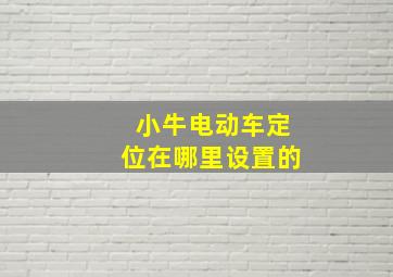 小牛电动车定位在哪里设置的