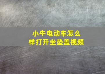 小牛电动车怎么样打开坐垫盖视频