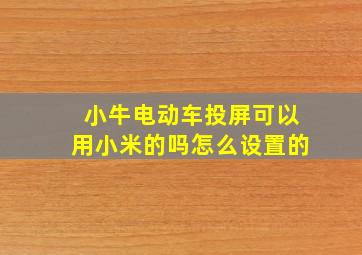 小牛电动车投屏可以用小米的吗怎么设置的