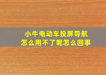 小牛电动车投屏导航怎么用不了呢怎么回事