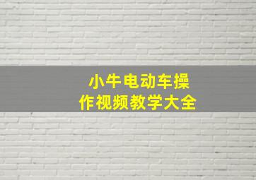 小牛电动车操作视频教学大全