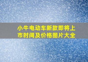 小牛电动车新款即将上市时间及价格图片大全