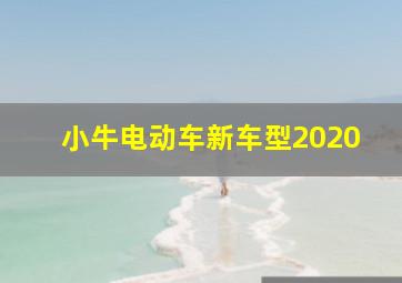 小牛电动车新车型2020