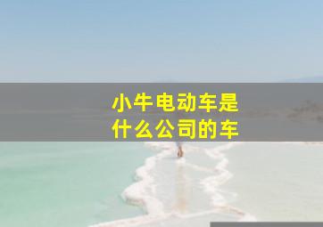 小牛电动车是什么公司的车