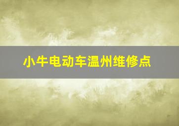 小牛电动车温州维修点