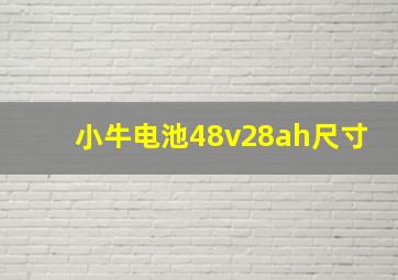 小牛电池48v28ah尺寸