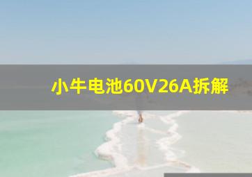 小牛电池60V26A拆解