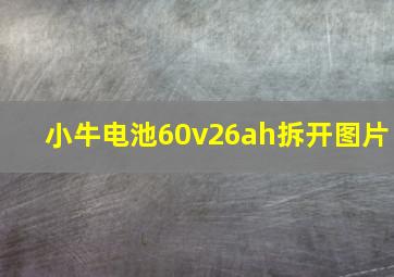 小牛电池60v26ah拆开图片