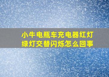 小牛电瓶车充电器红灯绿灯交替闪烁怎么回事