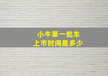 小牛第一批车上市时间是多少