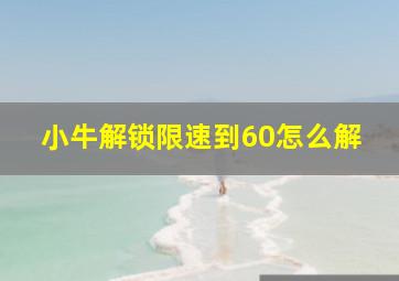 小牛解锁限速到60怎么解