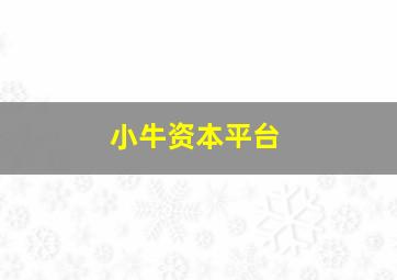 小牛资本平台