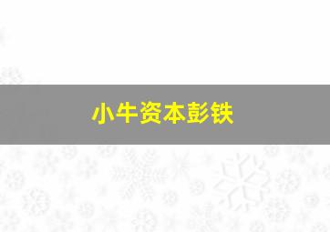 小牛资本彭铁