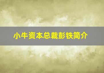 小牛资本总裁彭铁简介