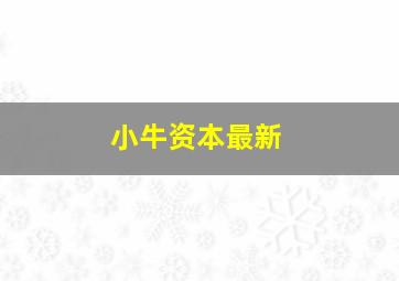 小牛资本最新