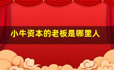 小牛资本的老板是哪里人