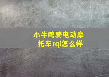 小牛跨骑电动摩托车rqi怎么样