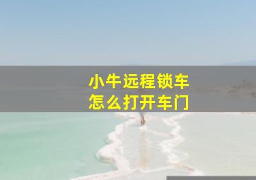 小牛远程锁车怎么打开车门