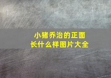 小猪乔治的正面长什么样图片大全