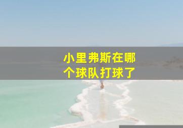 小里弗斯在哪个球队打球了