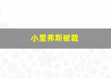 小里弗斯被裁