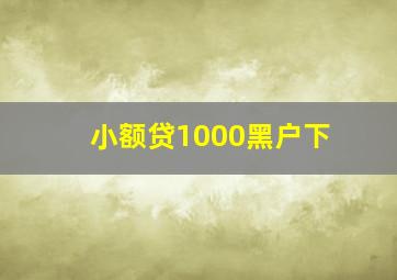 小额贷1000黑户下