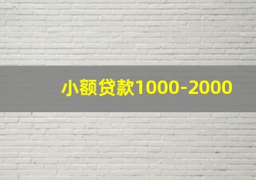 小额贷款1000-2000