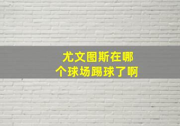 尤文图斯在哪个球场踢球了啊