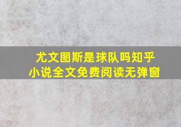 尤文图斯是球队吗知乎小说全文免费阅读无弹窗