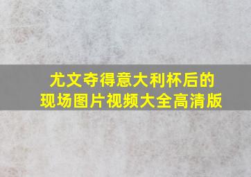 尤文夺得意大利杯后的现场图片视频大全高清版