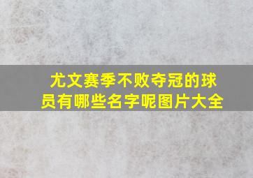 尤文赛季不败夺冠的球员有哪些名字呢图片大全