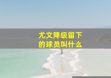 尤文降级留下的球员叫什么