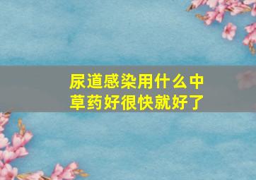 尿道感染用什么中草药好很快就好了