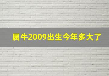 属牛2009出生今年多大了