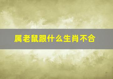 属老鼠跟什么生肖不合