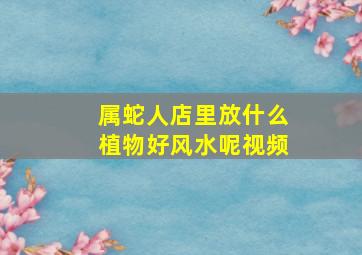 属蛇人店里放什么植物好风水呢视频