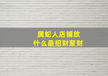 属蛇人店铺放什么最招财聚财