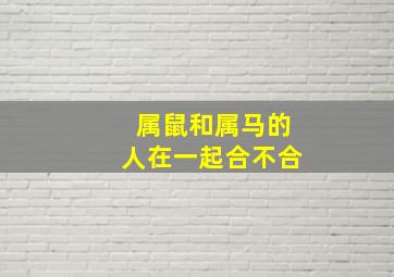 属鼠和属马的人在一起合不合