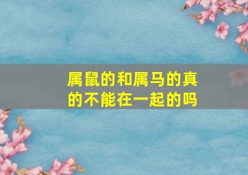 属鼠的和属马的真的不能在一起的吗