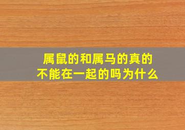 属鼠的和属马的真的不能在一起的吗为什么