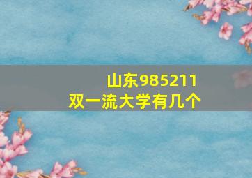 山东985211双一流大学有几个