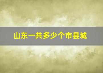 山东一共多少个市县城