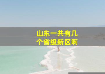 山东一共有几个省级新区啊