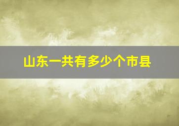 山东一共有多少个市县