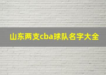 山东两支cba球队名字大全