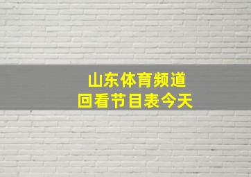 山东体育频道回看节目表今天