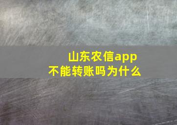 山东农信app不能转账吗为什么