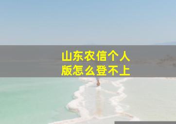 山东农信个人版怎么登不上