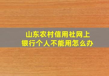 山东农村信用社网上银行个人不能用怎么办